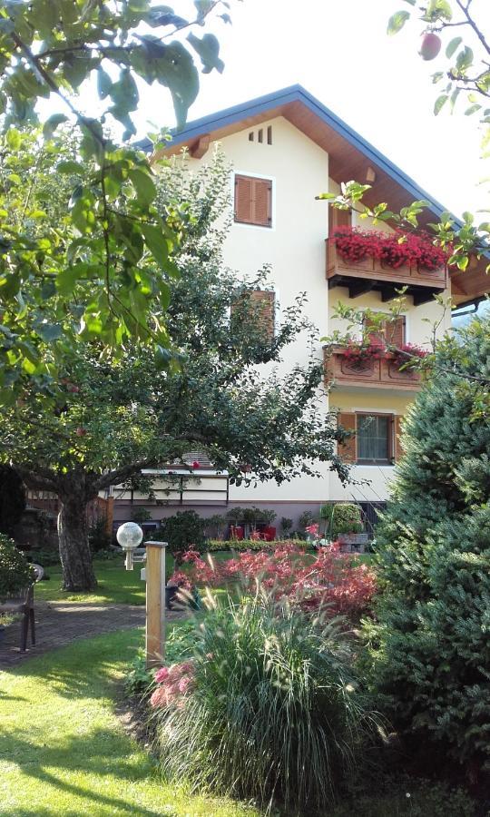 Family- Home Alpenblick Dellach im Drautal المظهر الخارجي الصورة