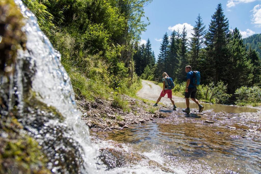 Family- Home Alpenblick Dellach im Drautal المظهر الخارجي الصورة