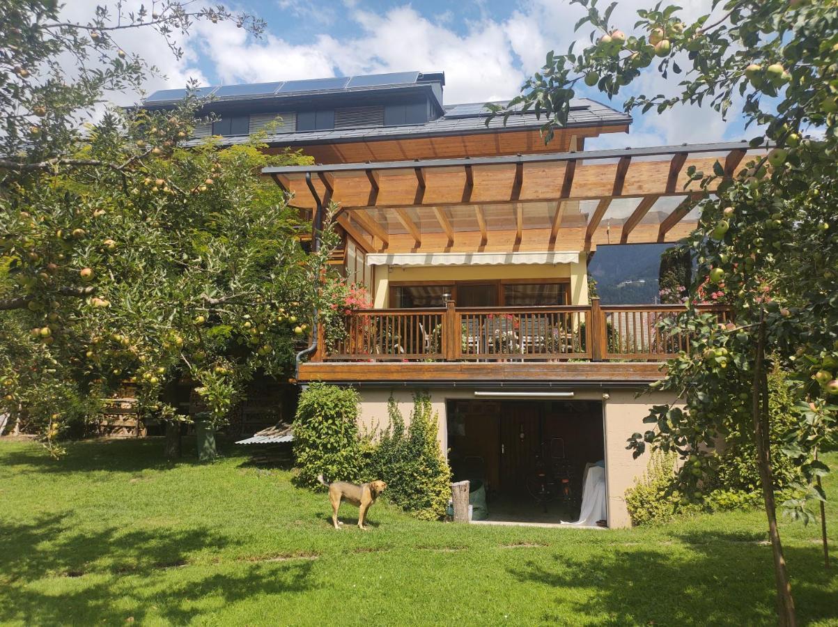 Family- Home Alpenblick Dellach im Drautal المظهر الخارجي الصورة